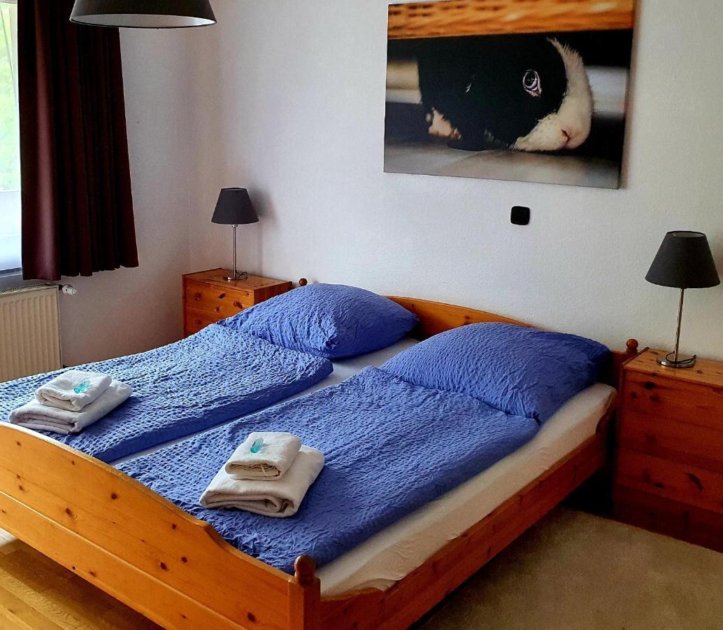 Gruener Baum Hotel Neckargerach Kültér fotó
