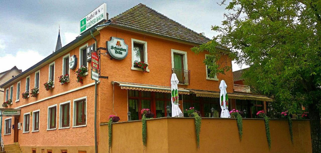 Gruener Baum Hotel Neckargerach Kültér fotó